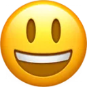 icon_smile